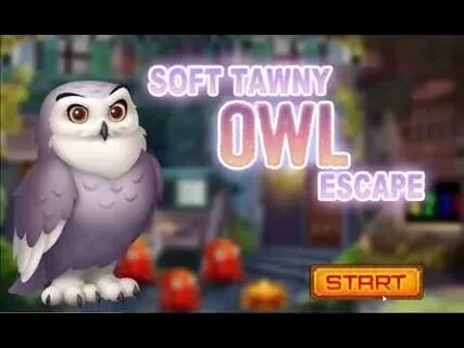 como ganhar no aviator betnacional 