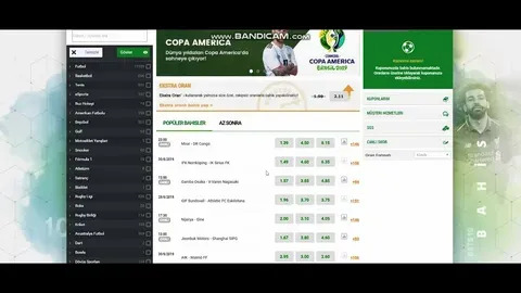 france ligue 1 